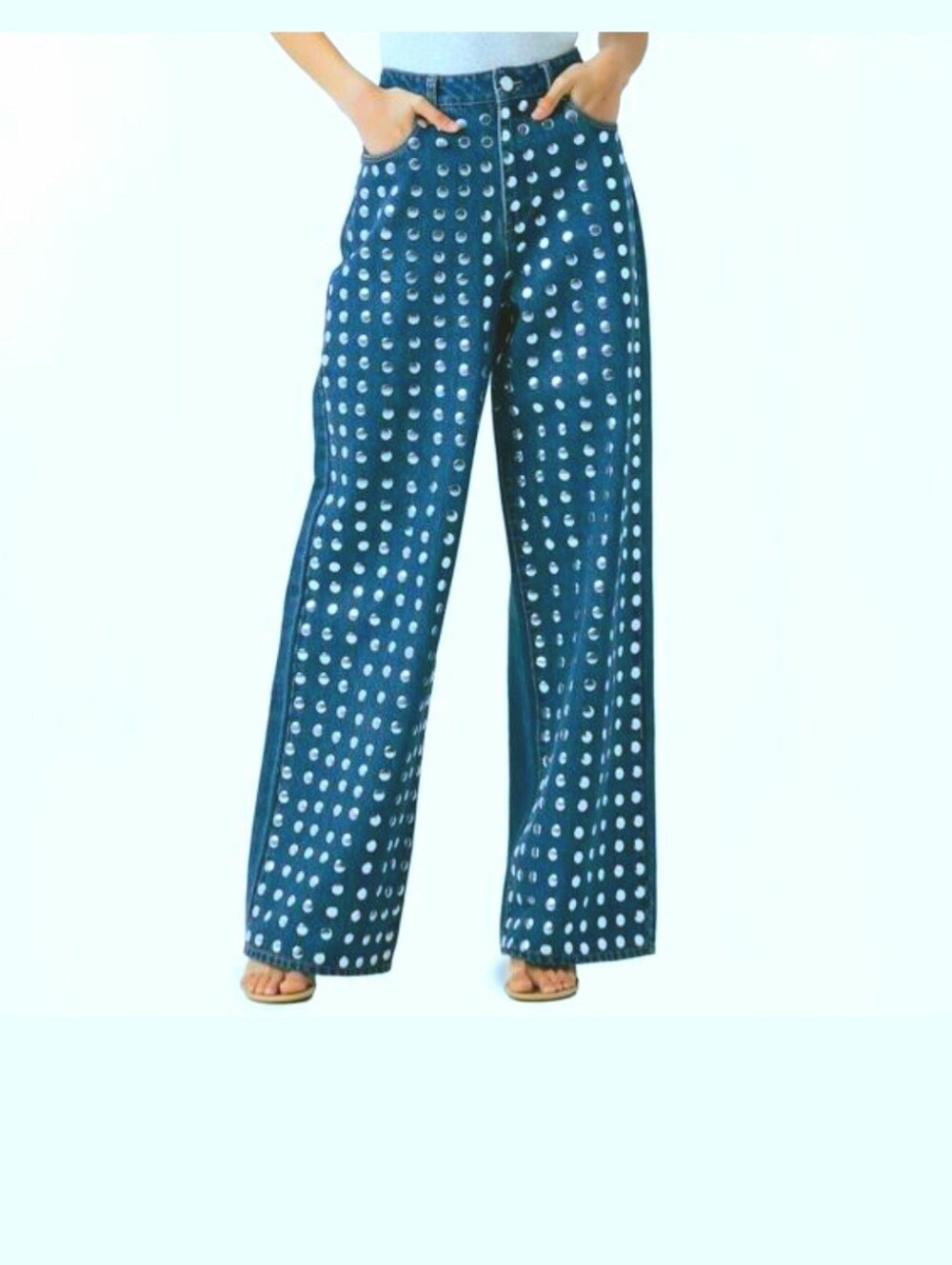 BlankNYC The Franklin frontal studded ribcage wide-leg jeans size 27 brand new
